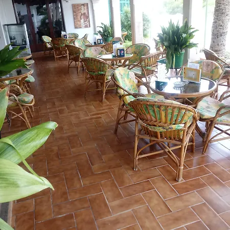 Oasis D'Or-2